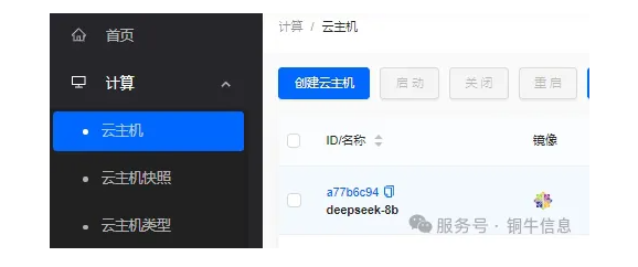 铜牛deepseek 铜牛deepseek
